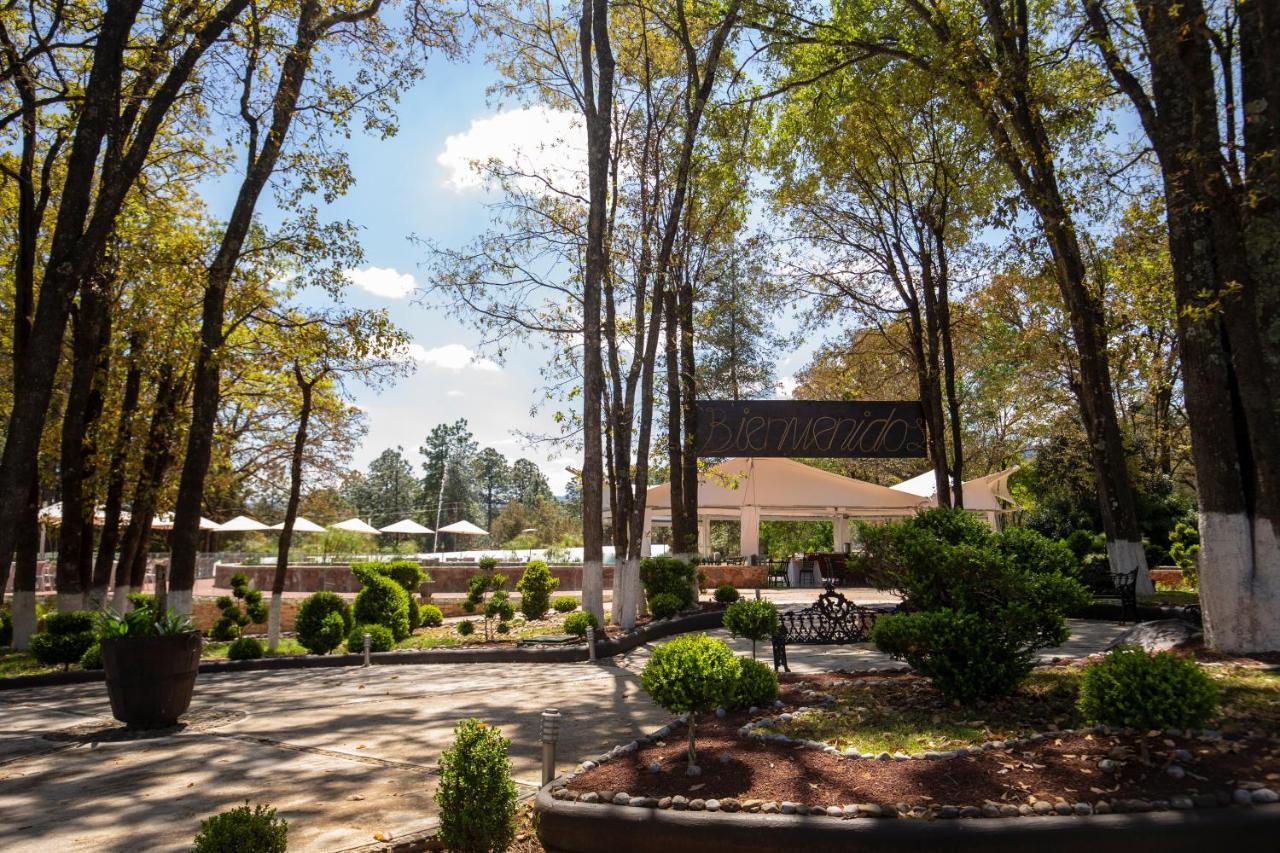 Hotel&Glamping Huasca Sierra Verde Huasca de Ocampo Exterior foto